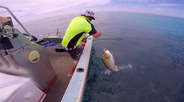 Good Baldy from the shallows Good Baldy from the shallows